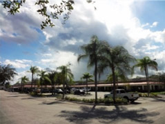 Fashion Plaza